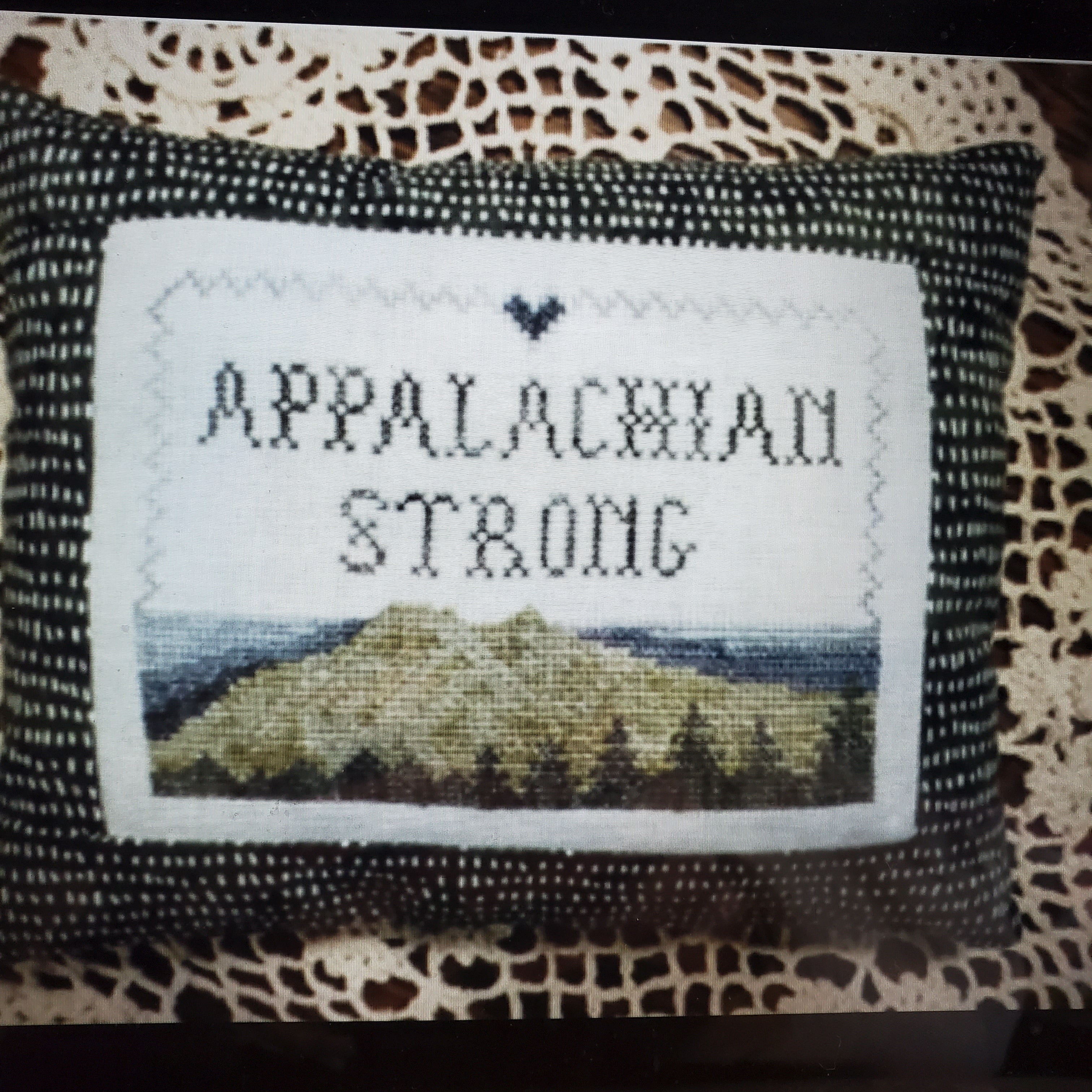 Nebby Needle | Appalachian Strong